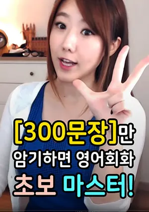 300문장 암기하면 초보 마스터 표지